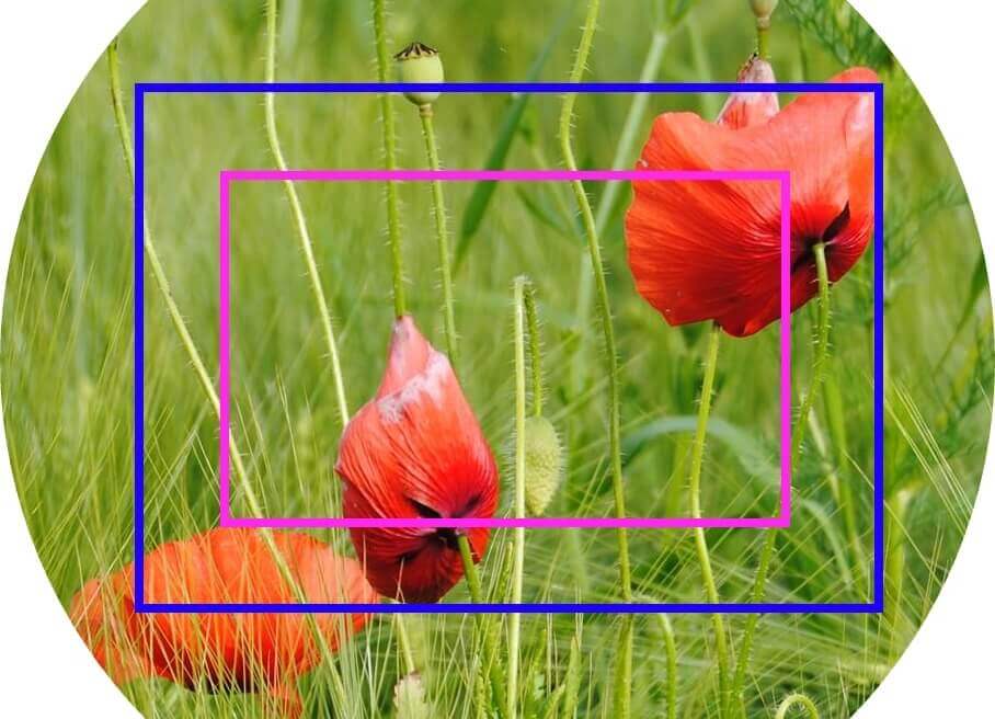 Das Bild zeigt, welcher Ausschnitt bei Verwendung des gleichen Objektivs beim Vollformatsensor (blau) und bei einem Sensor mit Crop-Faktor (pink) abgelichtet wird.