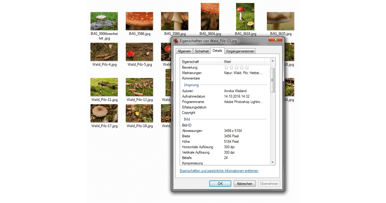 Im Windows Explorer können die Exif-Daten von Bildern direkt im Eigenschaften-Dialog ausgelesen werden.