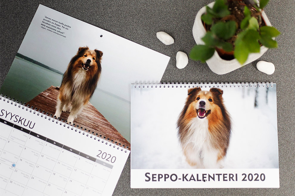 Seppo-kalenteri
