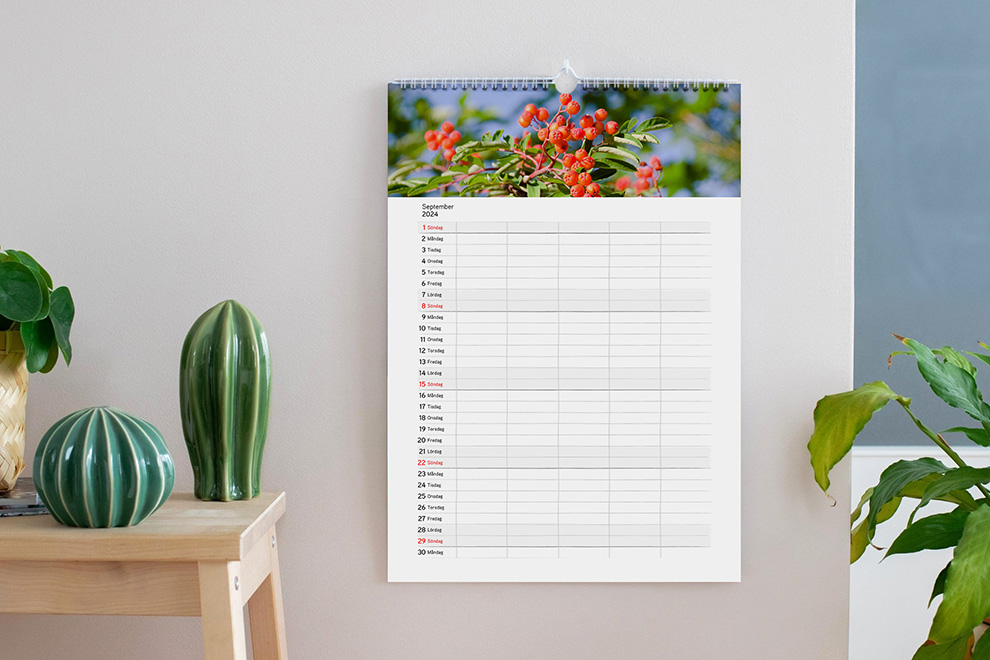 Nöje i vardagen: en bra familjekalender eller andra roliga saker att göra i början av skolåret! Nöje i vardagen: en bra familjekalender eller andra roliga saker att göra i början av skolåret!