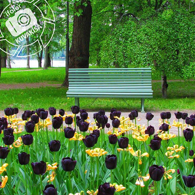 Tampereen Arboretum Tampereen Arboretum