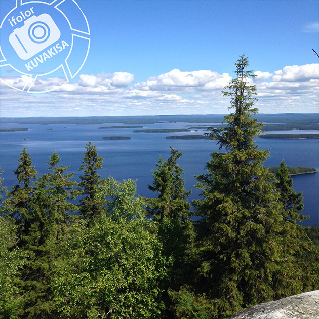 Koli Koli