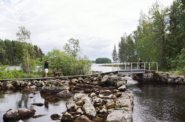 Konnuksenkanavan koski Leppävirralta Konnuksenkanavan koski Leppävirralta