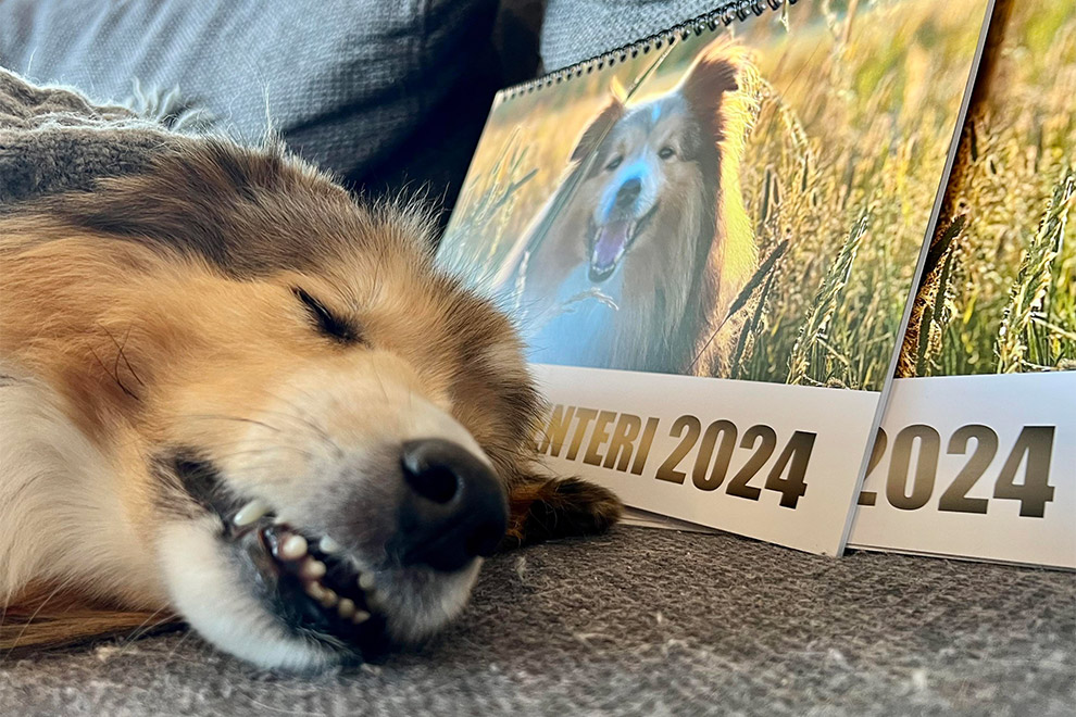 Seppo-kalenteri 2024 Seppo-kalenteri 2024