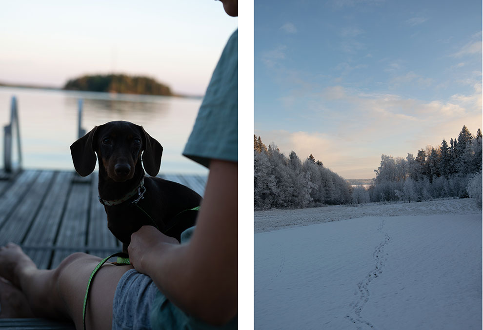 Kuvat ennen käsittelyä: tumma mäyräkoira ja talvimaisema Kuvat ennen käsittelyä: tumma mäyräkoira ja talvimaisema