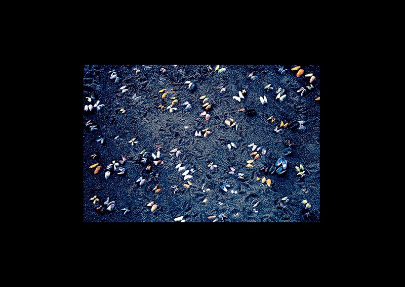 page01044.jpg