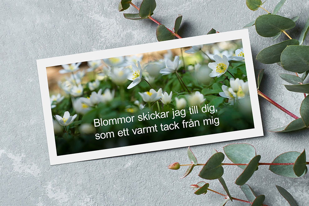 Morsdagskort med en aforism Morsdagskort med en aforism