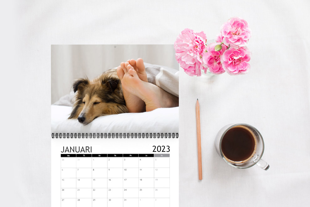 Fotokalendar med hundbild Fotokalendar med hundbild