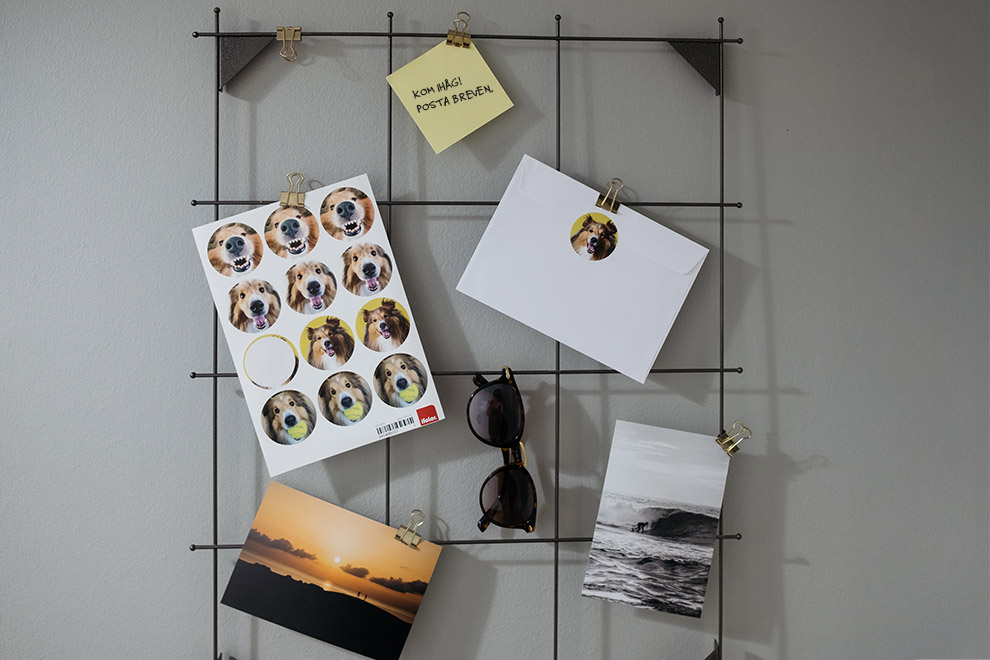 Fotostickers med hundbilder Fotostickers med hundbilder