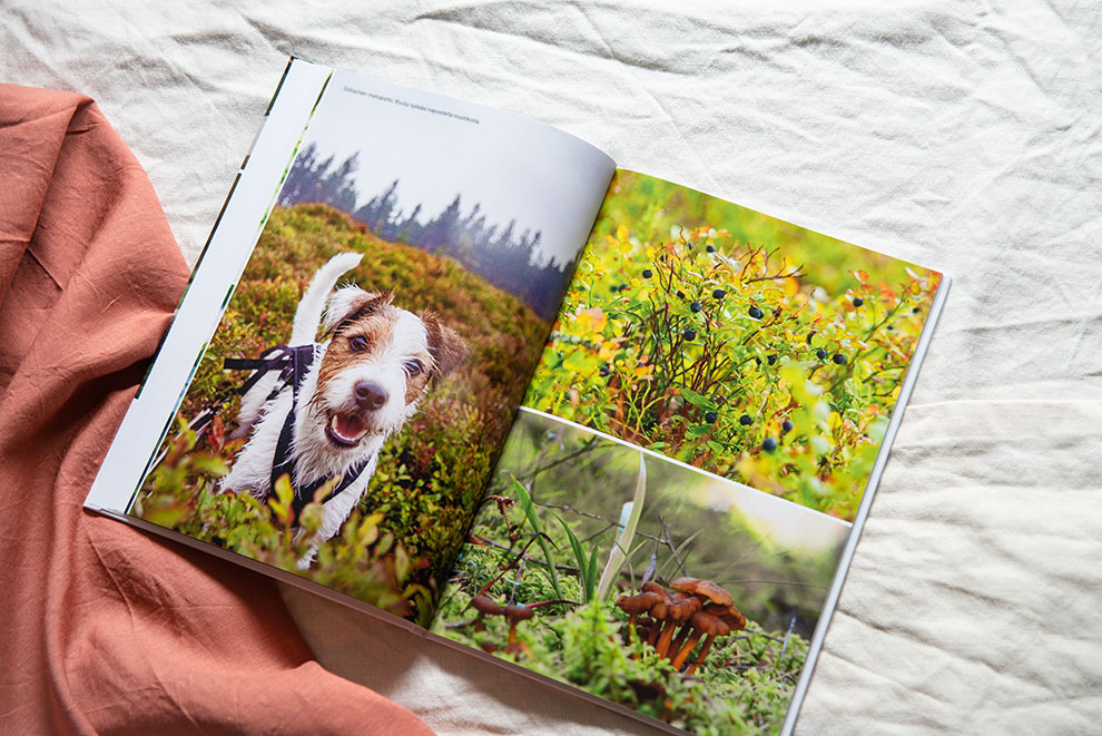 Fotobok uppslag: skogstur Fotobok uppslag: skogstur