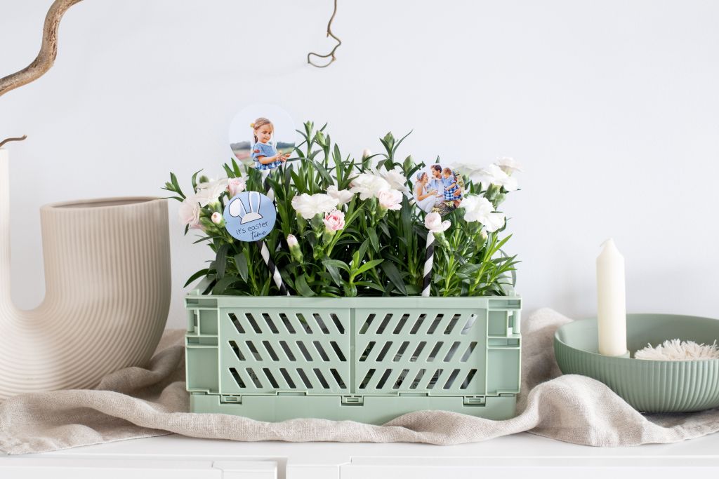 Individuelle Osterdeko: DIY-Blumentopfstecker aus eigenen Fotos