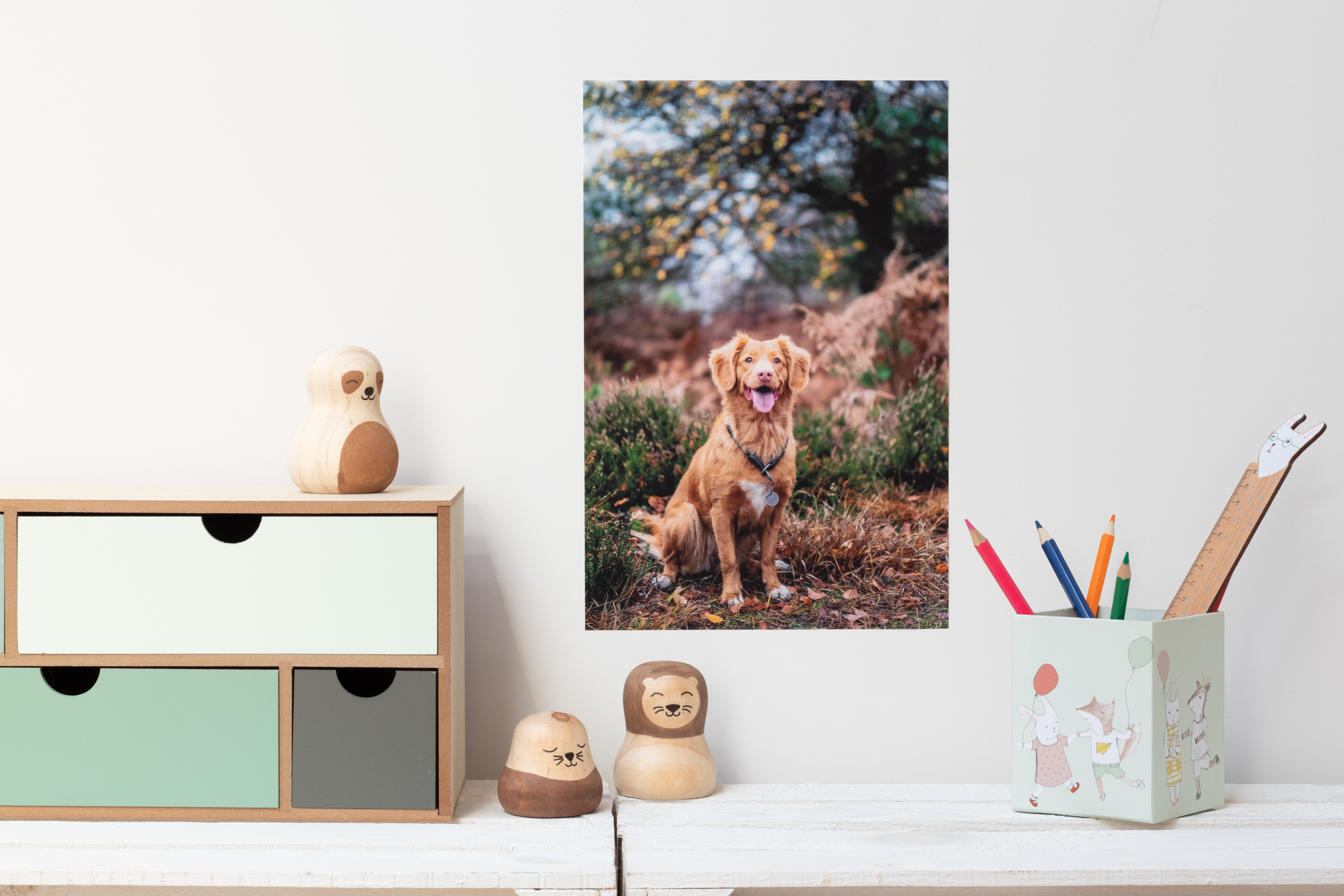 Selbstklebendes Fotoposter von ifolor im Kinderzimmer mit Haustier und Stundenplan