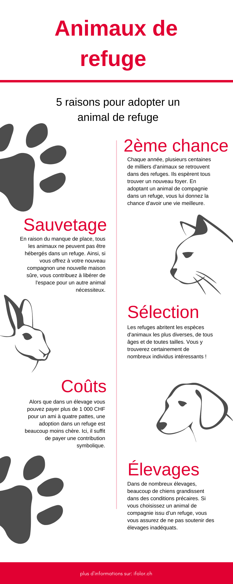 Comment adopter un animal de refuge Comment adopter un animal de refuge