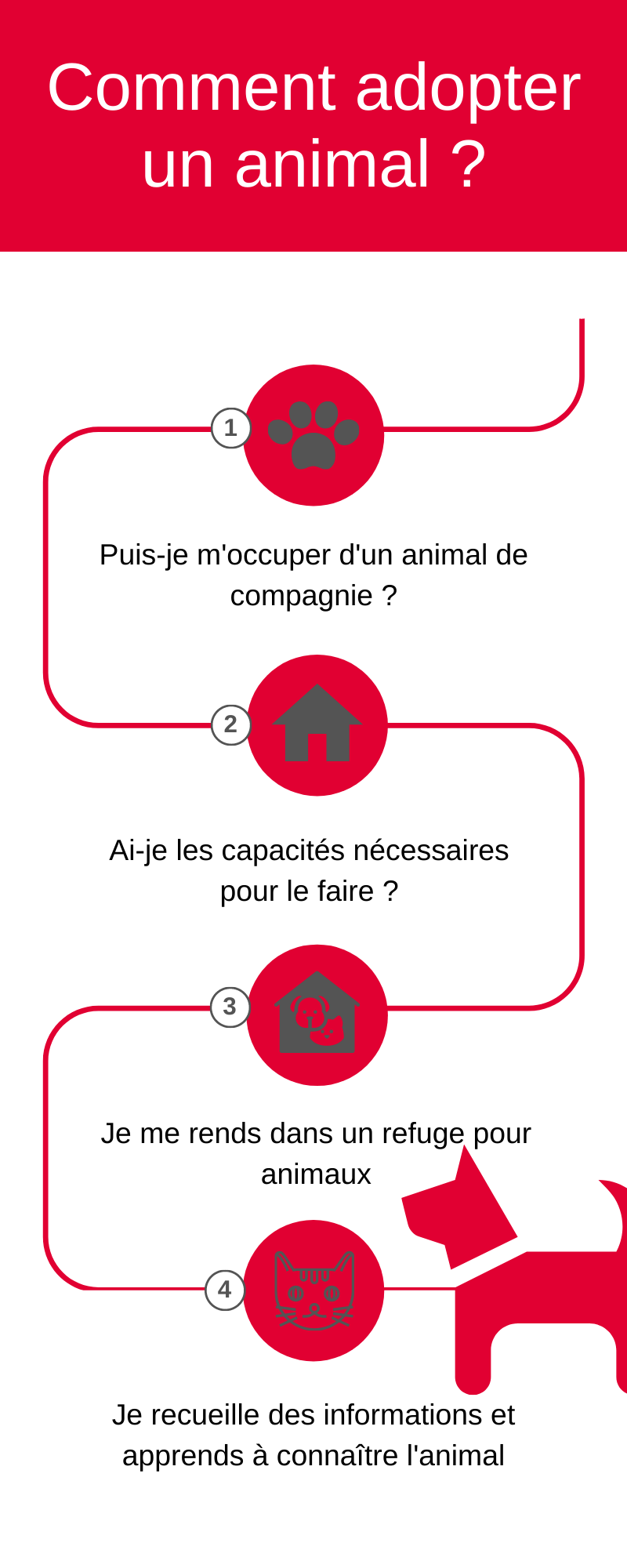 Comment adopter un animal de refuge Comment adopter un animal de refuge