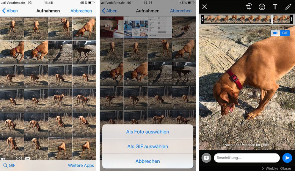 Screenshots – umwandeln und versenden von Live Photos mit WhatsApp
