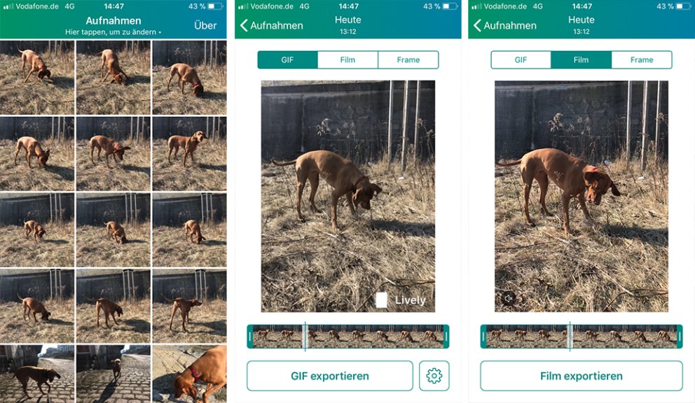 Screenshots – Umwandeln von Live Photos mit Lively App