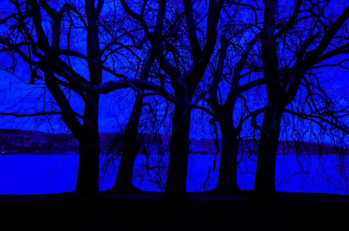 Silhouettenbilder in der Nacht aus Blau und Schwarz.