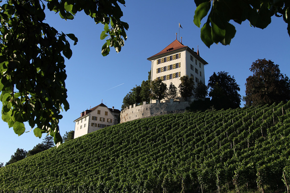 Schloss Heidegg – Blick auf die Weinberge