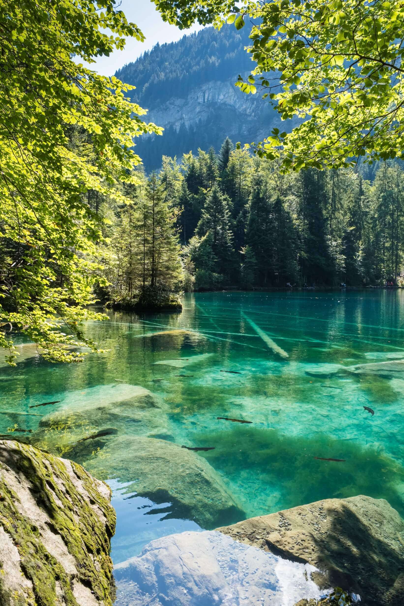 Unser Favorit: Der Blausee im Berner Oberland