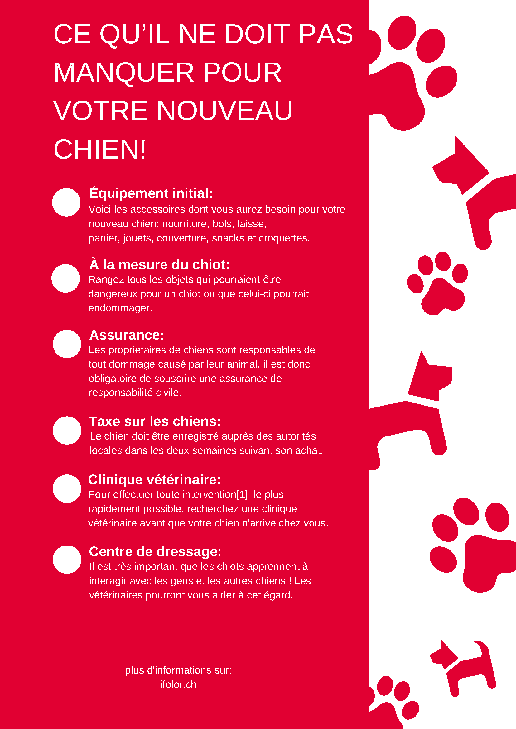 Ce qu'il ne doit pas manquer pour votre nouveau chien Ce qu'il ne doit pas manquer pour votre nouveau chien