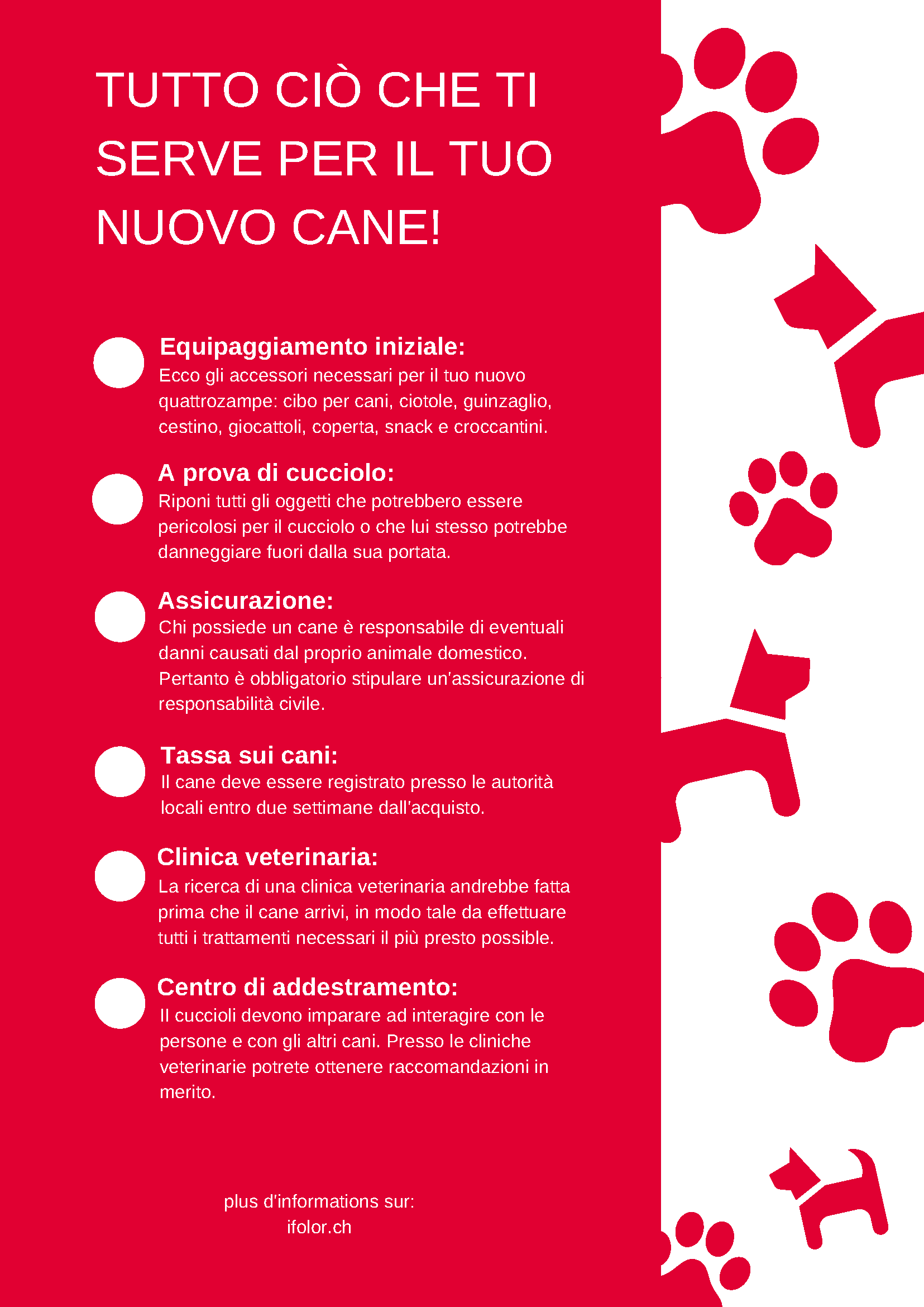 Tutto ciò che ti serve per il tuo nuovo cane Tutto ciò che ti serve per il tuo nuovo cane