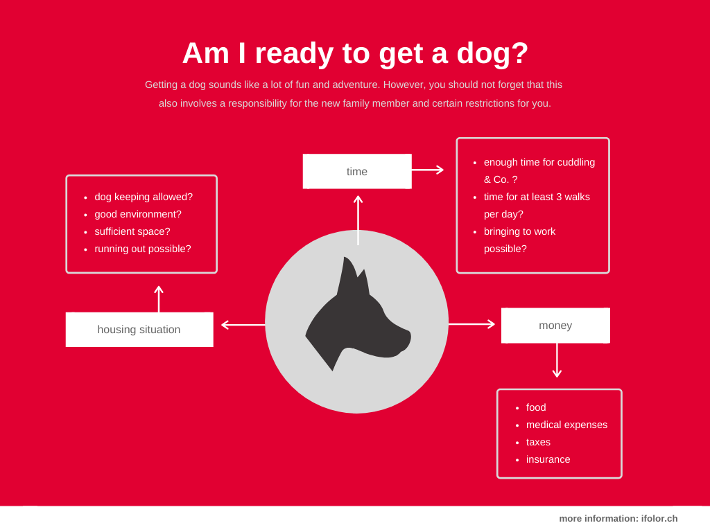 Am I ready to get a dog Am I ready to get a dog