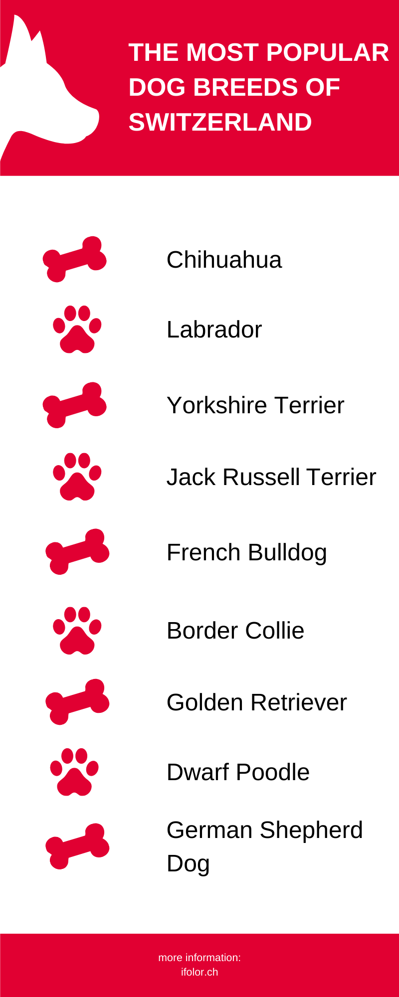 The top dog breeds in Switzerland The top dog breeds in Switzerland