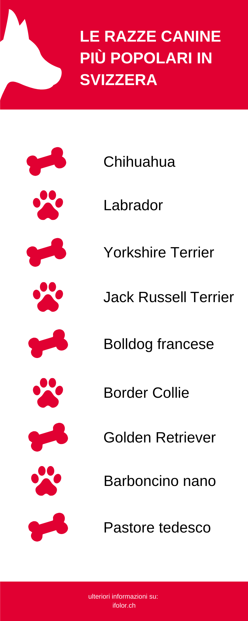Queste sono le razze canine più popolari in Svizzera Queste sono le razze canine più popolari in Svizzera
