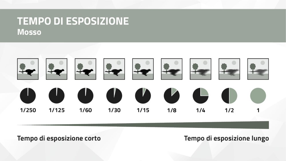 Grafica dei tempi di esposizione – Livello di nitidezza per differenti tempi di esposizione Grafica dei tempi di esposizione – Livello di nitidezza per differenti tempi di esposizione