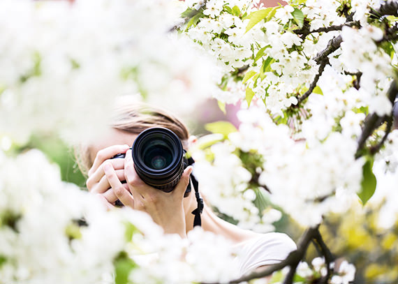 Frau fotografiert in der Natur mit einer Spiegelreflexkamera