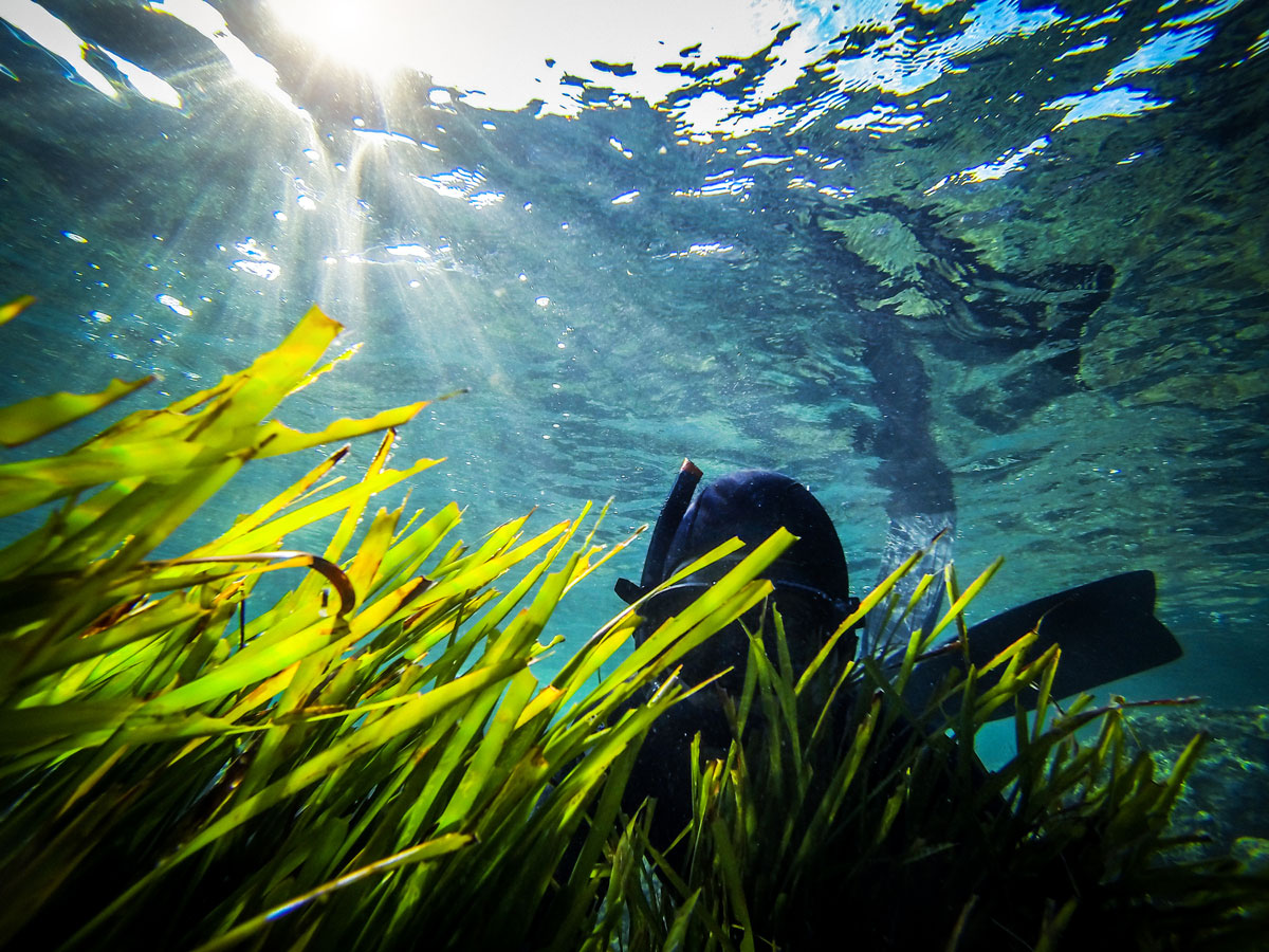 Mit Actioncams lassen sich tolle Unterwasseraufnahmen machen