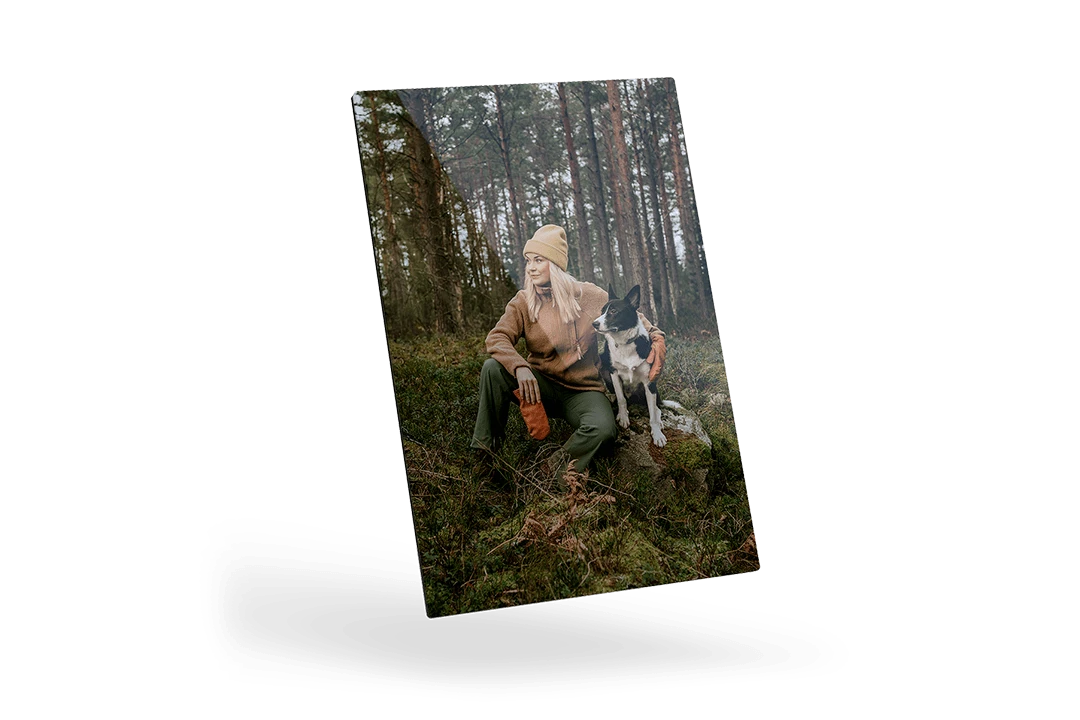 Gallery Print