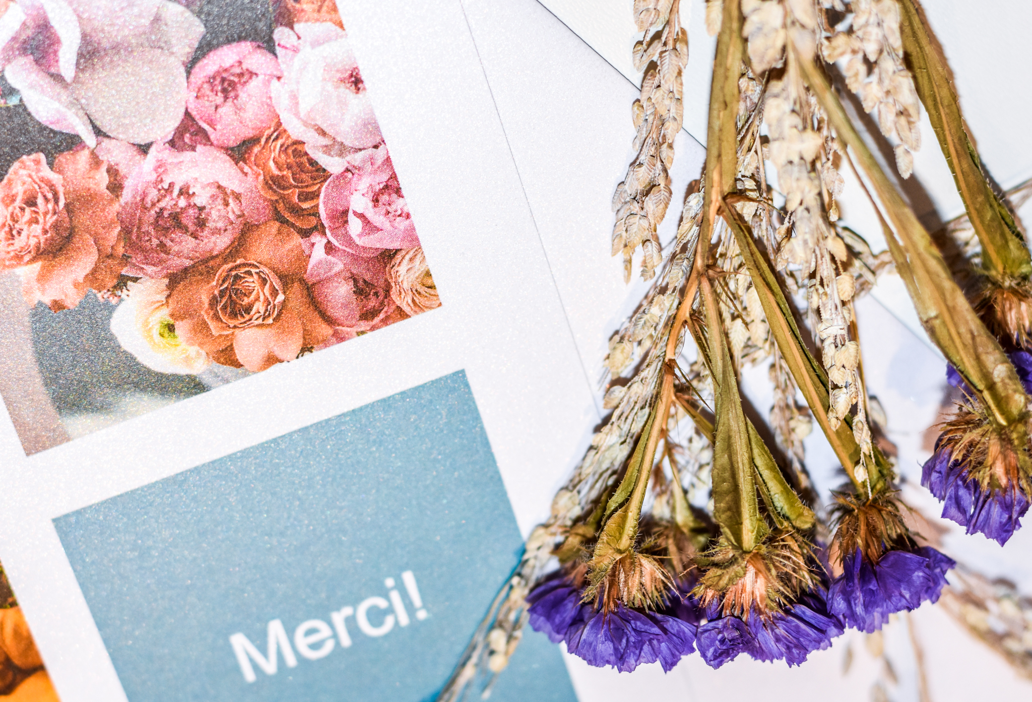 D72_0747 Mille façons de dire merci