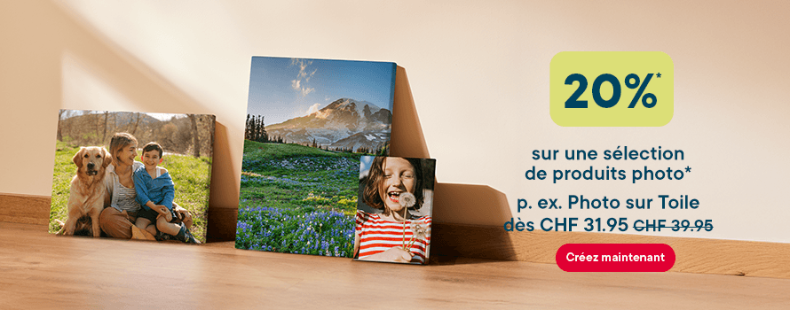 100426_tab_HP_stage_CH_FR