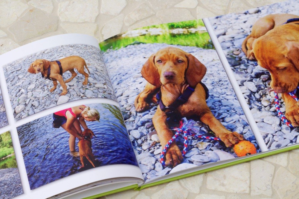 Tierfotobuch%20vom%20Hund%20 Fotobuch vom Haustier