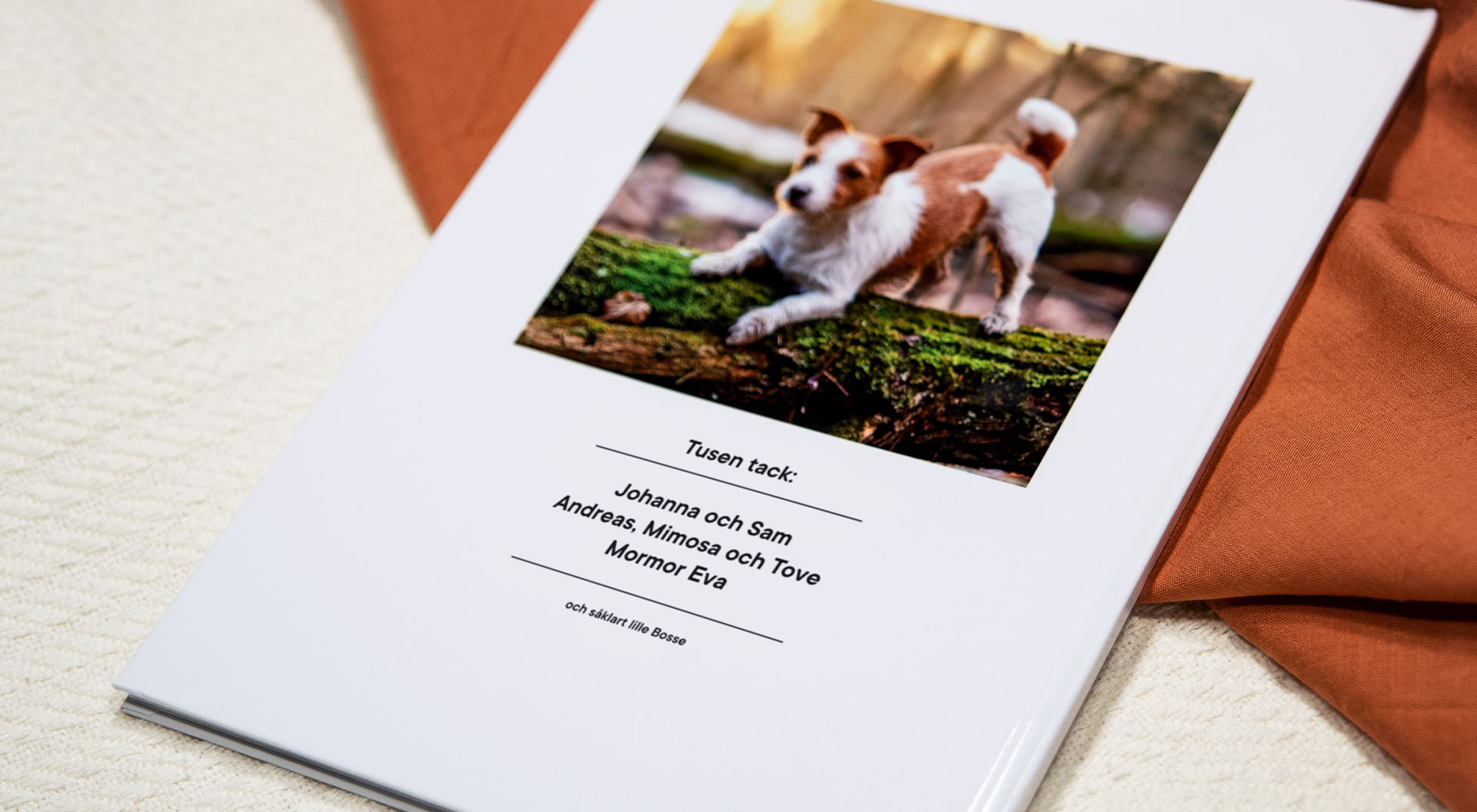 Baksidan av en årsbok