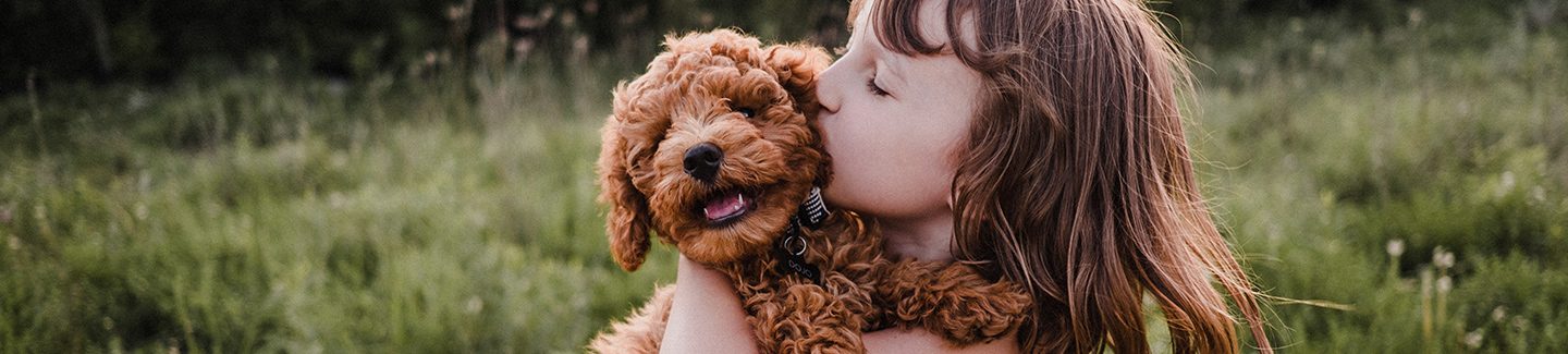 L’amore per gli animali domestici
