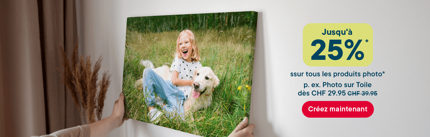 070426_desk_HP_stage_CH_FR