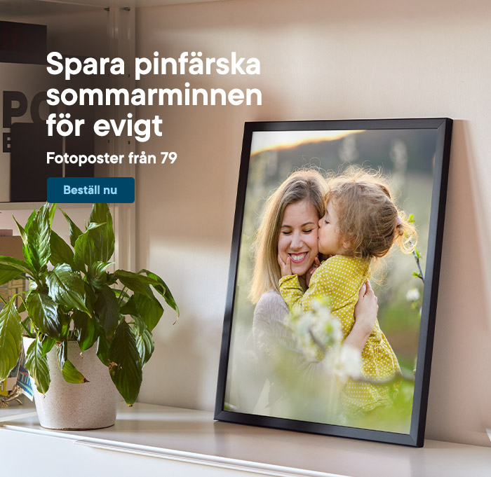 Fotoposter från 79