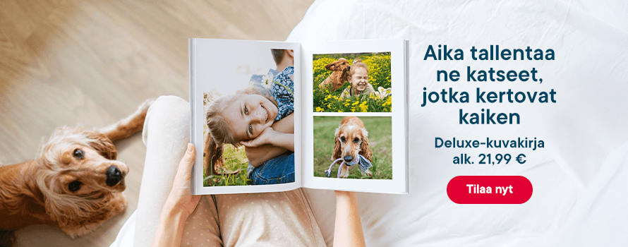 tab_HP_stage_FI-28042026