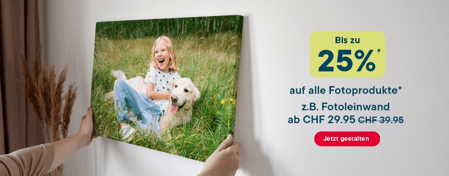 070426_tab_HP_stage_CH_DE