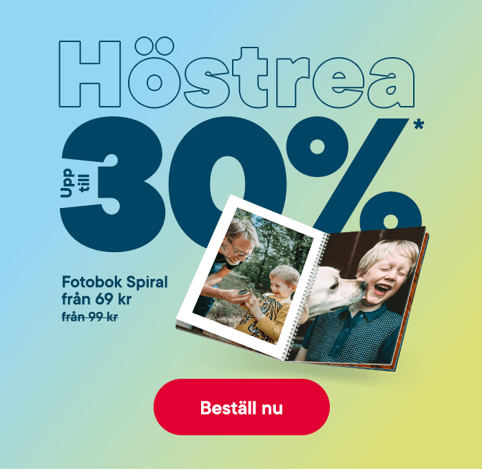 mob_HP_stage_SE-AS082026