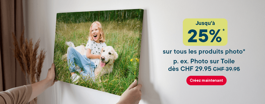 070426_tab_HP_stage_CH_FR