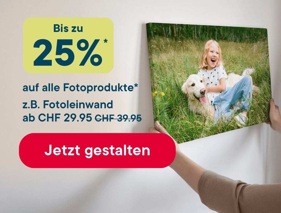 070426_mob_HP_stage_CH_DE