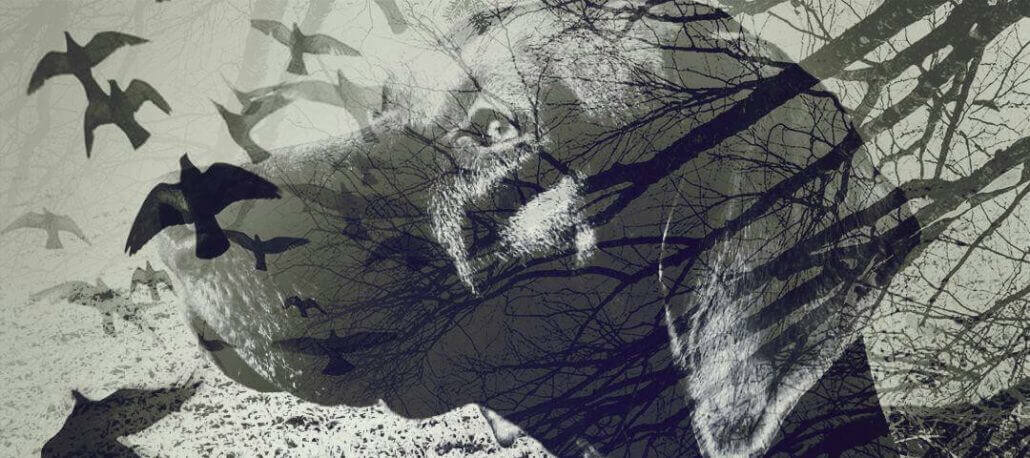 Header-Foto-aus-zwei-Motiven-Voegel-vor-Hund1-1030x458 Für Smartphone Fotos mit Special Effect: Die ausgefallensten Foto-Apps für Android und iOS